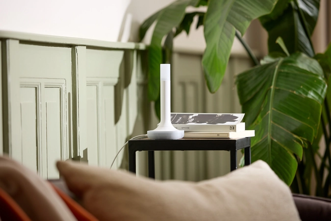 The Home Assistant Connect ZBT-2 device placed next to a stack of books on a black side table, next to a large green houseplant.